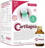 Salugea - Cartilagea Funzionalità Articolare 18 Flaconcini 12ml