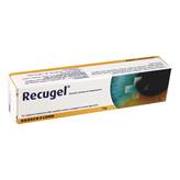 Recugel Gel Oculare 10g - Gmm Farma Srl