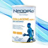 Neogela Collagene Vero 100% Naturale in Polvere 400 gr Zeta 92 - Integratore alimentare per il benessere delle cartilagini e delle articolazioni delle ossa