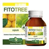 FITOTREE 60CPS EBV