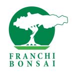 Franchi Bonsai