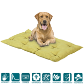 EverGreenWeb Letto per Cani alto 8 cm Lavabile Materasso Cuscino in Waterfoam Cuccia Tappeto Imbottitura 100% Fiocco Colore Verde | Fufy