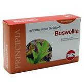 BOSWELLIA ES.SEC 60CPR 24G KOS