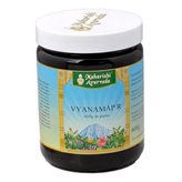 Vyanamap Pasta Integratore Ayurvedico 600g