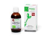 Betulla Linfa Bio Macerato Glicerico Fitomedical 100ml