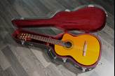 TAKAMINE GC5CE Natural