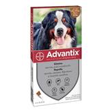 Advantix Spot-On Cani 40-60Kg 4 pipette 6ml