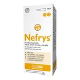 NEFRYS NEW 100 100ML C/SIR DOS