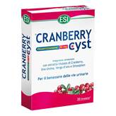 CRANBERRY CYST 30 OVALETTE ESI