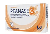 PEANASE C 20 Bust.