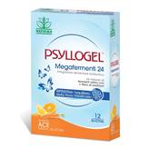 PSYLLOGEL MEGAFERM 24 12BS