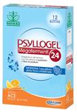 PSYLLOGEL MEGAFERM 24 12BS