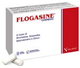 Flogasine 20cpr