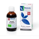 Spirea Ulmaria Tintura Madre Fitomedical Bio 100ml