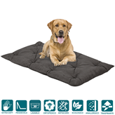 EverGreenWeb Letto per Cani alto 8 cm Lavabile Materasso Cuscino in Waterfoam Cuccia Tappeto Imbottitura 100% Fiocco Colore Grigio | Fufy