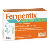 FERMENTIX PANCIA PIA/GONF20CPR