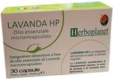 HP LAVANDA 30CPS